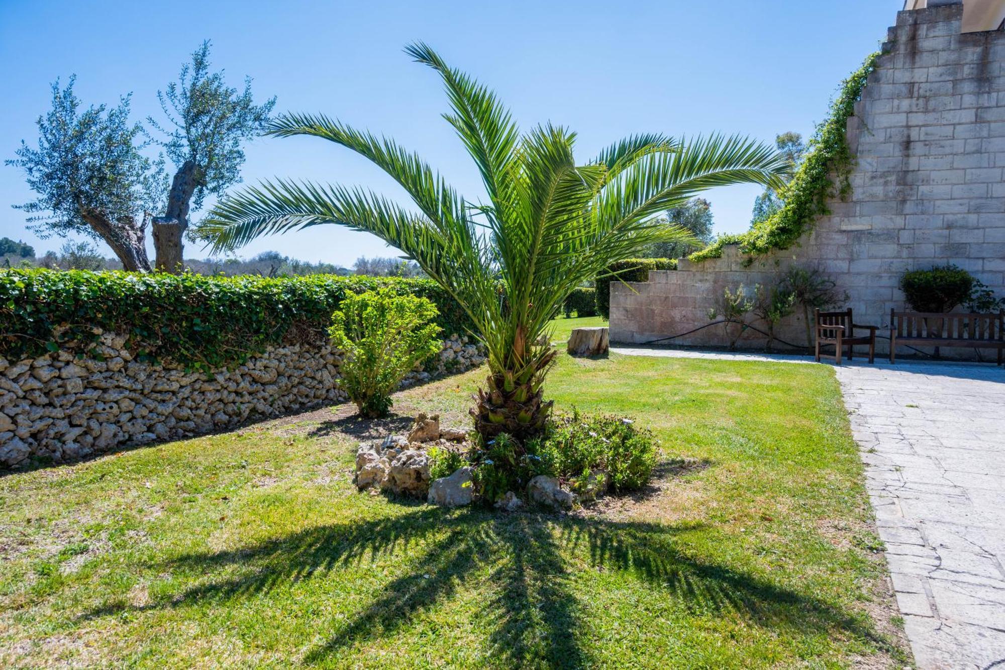 Agriturismo Masseria Del Bosco Makyva Borgagne Exterior foto